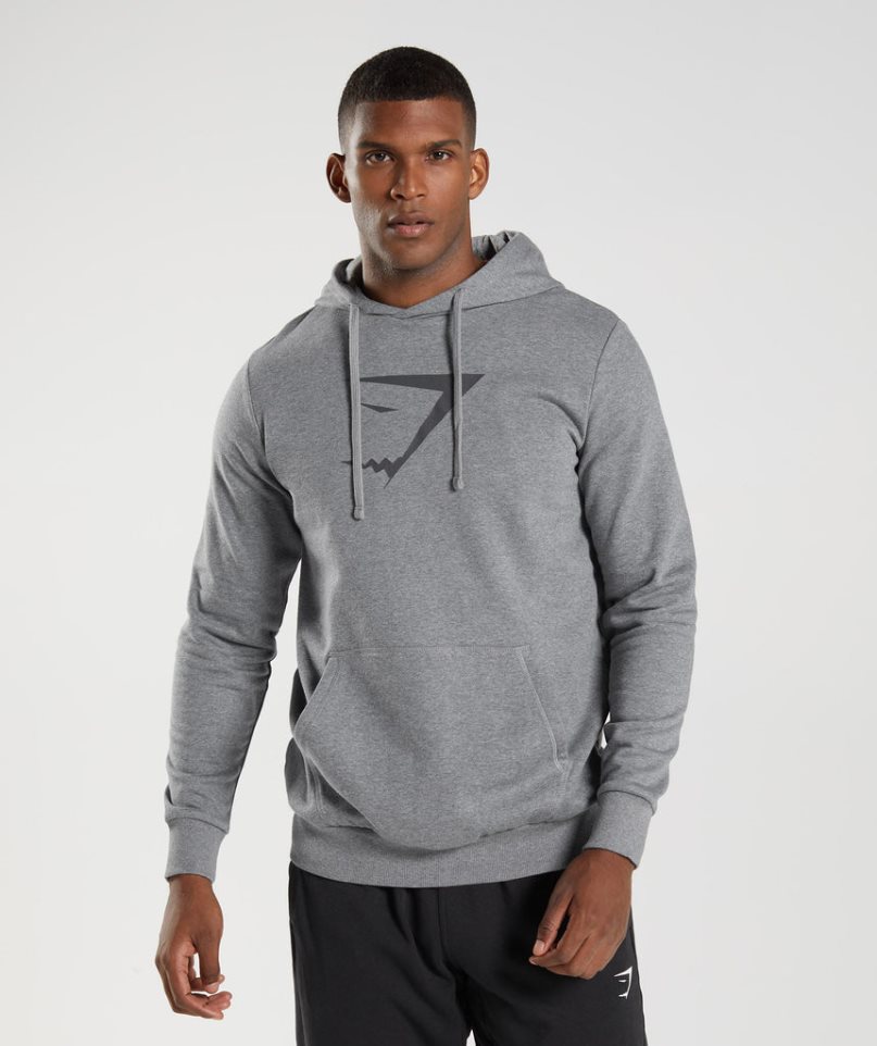 Men\'s Gymshark Sharkhead Infill Hoodie Grey | NZ 2BFPAZ